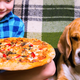 Illustration for article titled Dog who started fire after stealing pizza is still a good dogem/em